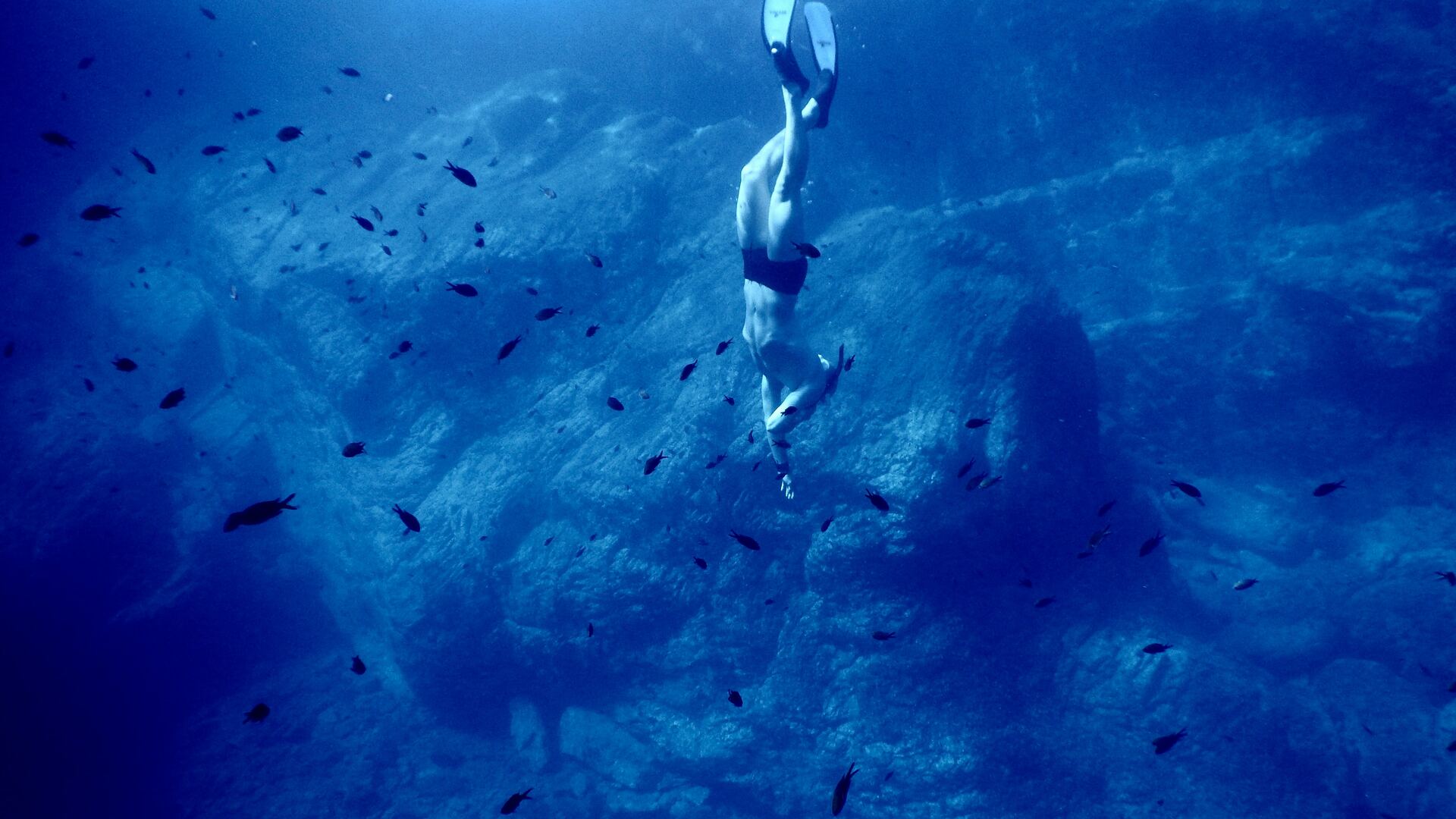 Freediving apps