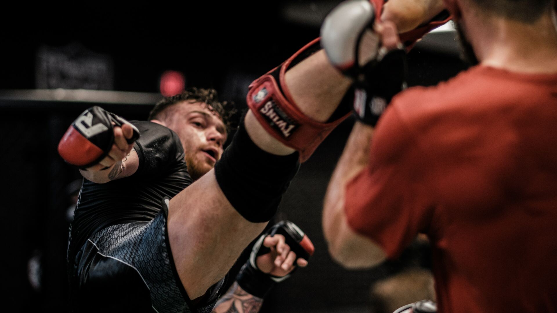 Martial Arts apps