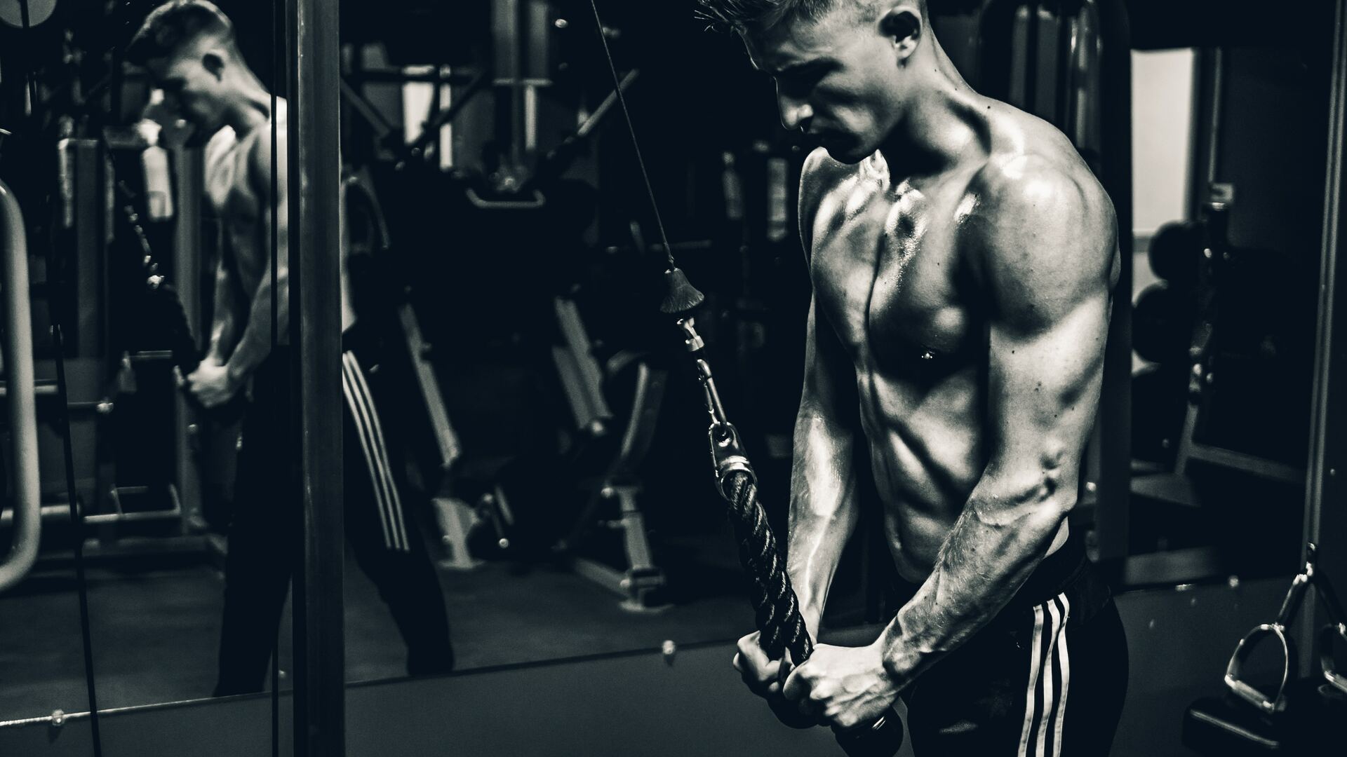 Triceps apps